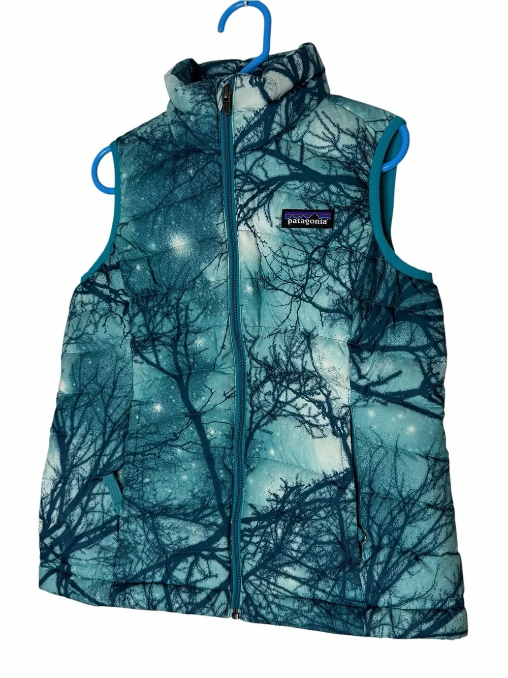 Patagonia Down Sweater Puffer Vest in the Moontree Deep Sea Blue Size XS 5-6